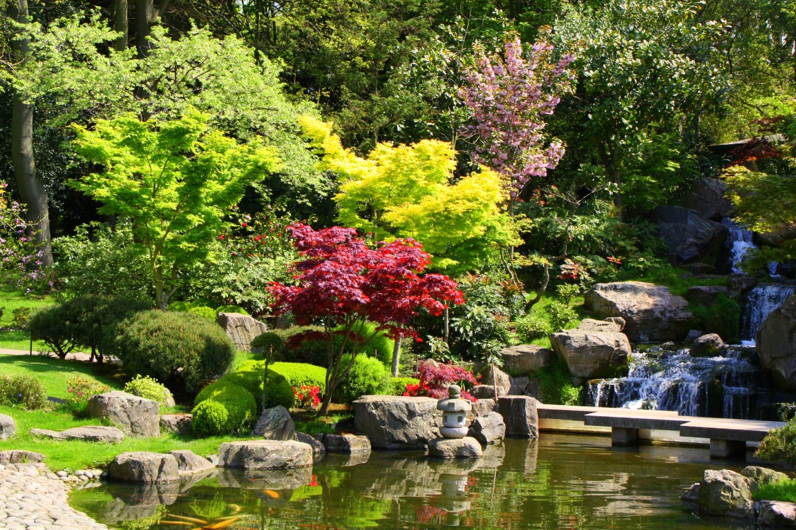 Kyoto Garden in Holland Park – Antony Peyton