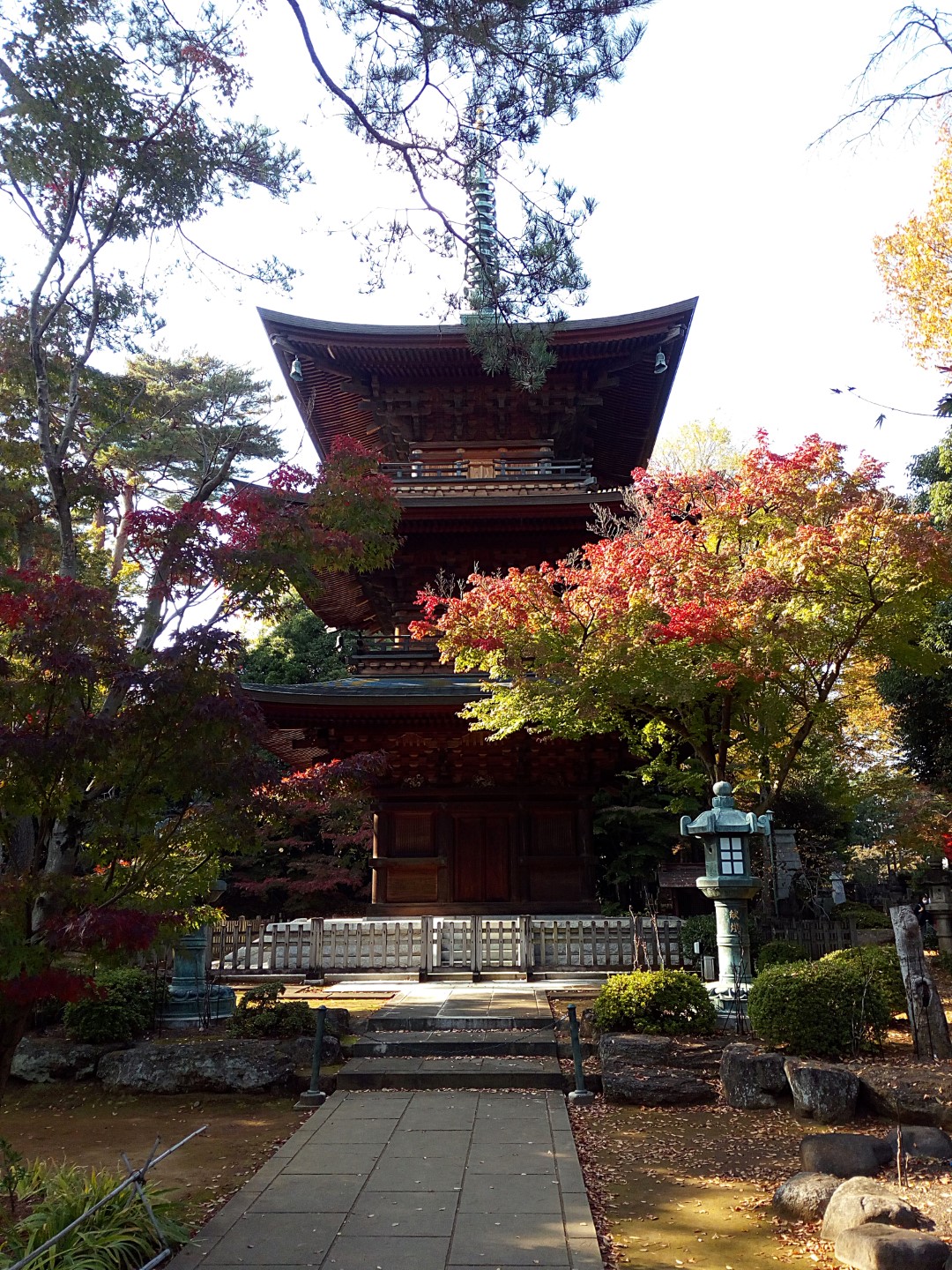 Gotokuji Temple, Tokyo – Antony Peyton